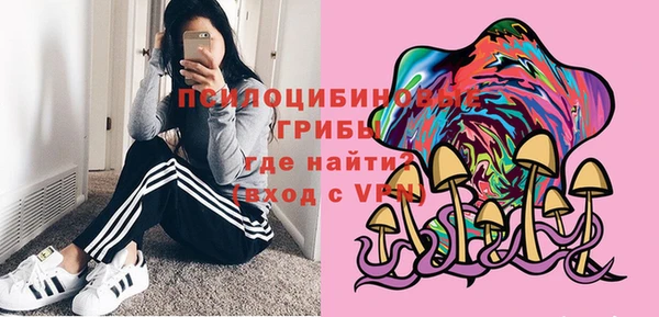 скорость mdpv Белокуриха