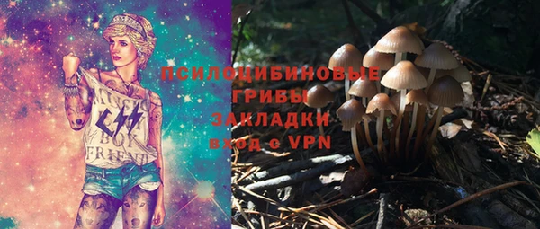скорость mdpv Белокуриха