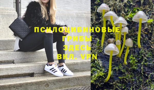 скорость mdpv Белокуриха