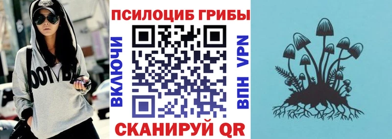 Псилоцибиновые грибы Psilocybe  где купить наркоту  Костерёво 