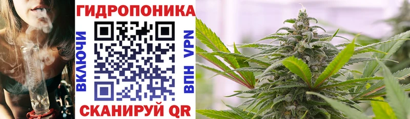купить наркотик  Костерёво  Канабис VHQ 